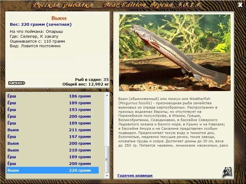 Русская рыбалка 3 лопасня. Вьюн рыба. Рассказ про вьюнок. Обыкновенный вьюн. Вьюн предложение.