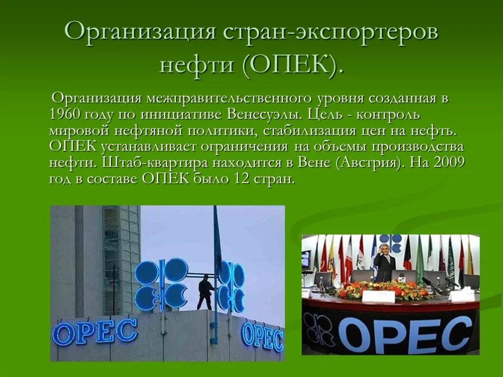 Организация опек год