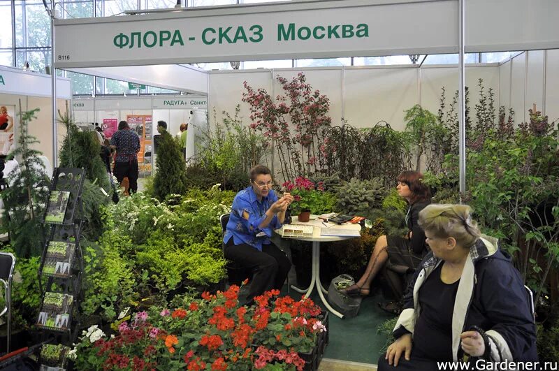 Лазаревское ярославль теплицы. Лазаревское ярославль рассада. Ананьино лазаревское ярославль. Лазаревское тепличный комплекс ярославль. Лазаревское тепличный комплекс ярославль.