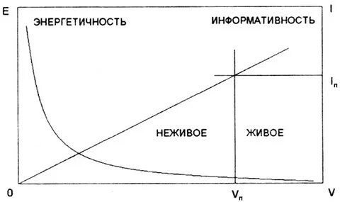 Теория метрового интернета