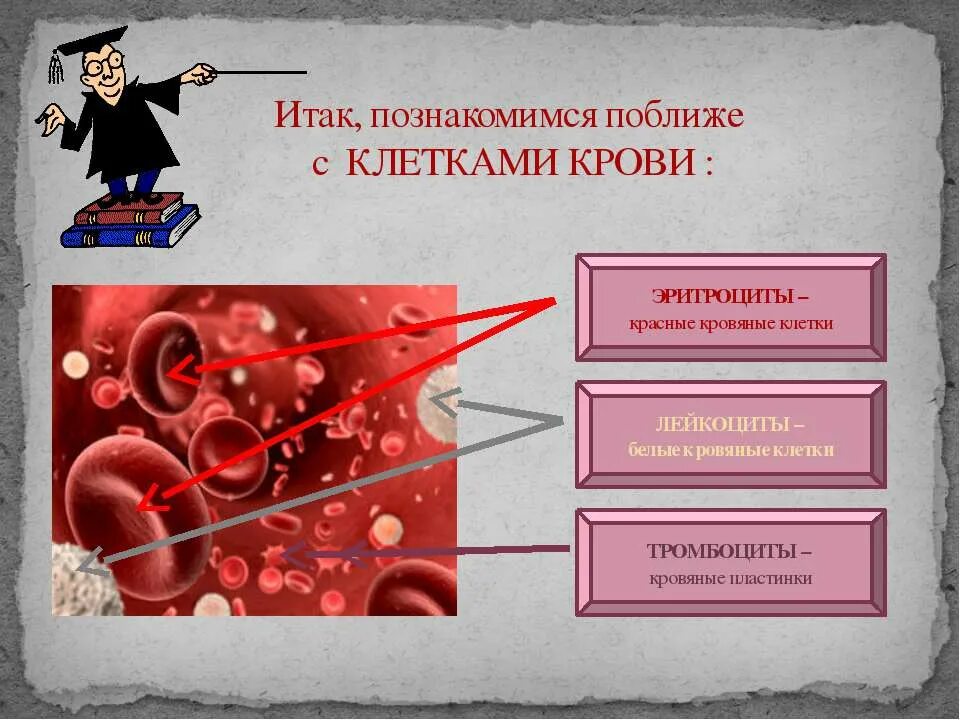 Почему кровь считают. Кровь 4 класс. Кровь для проекта. Проект на тему кровь.