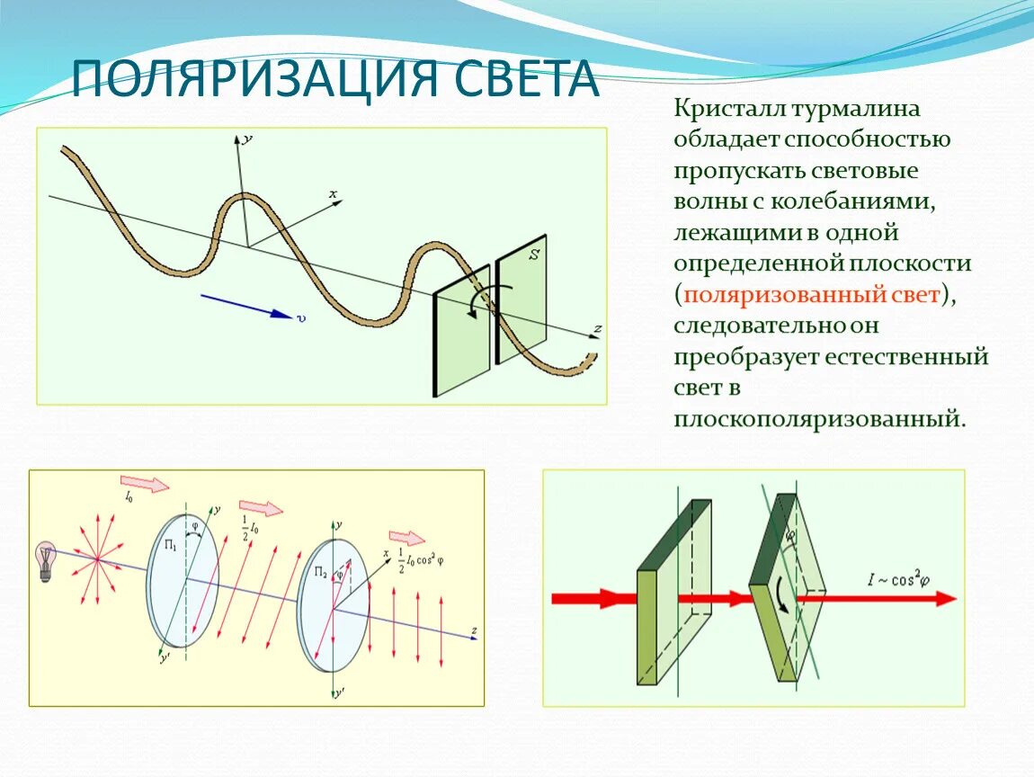 Световые волны 2 вариант. Поляризация света 11 класс физика. Поляризация волн 11 класс. Плоскополяризованная электромагнитная волна. Поперечность световых волн поляризация света 11 класс.