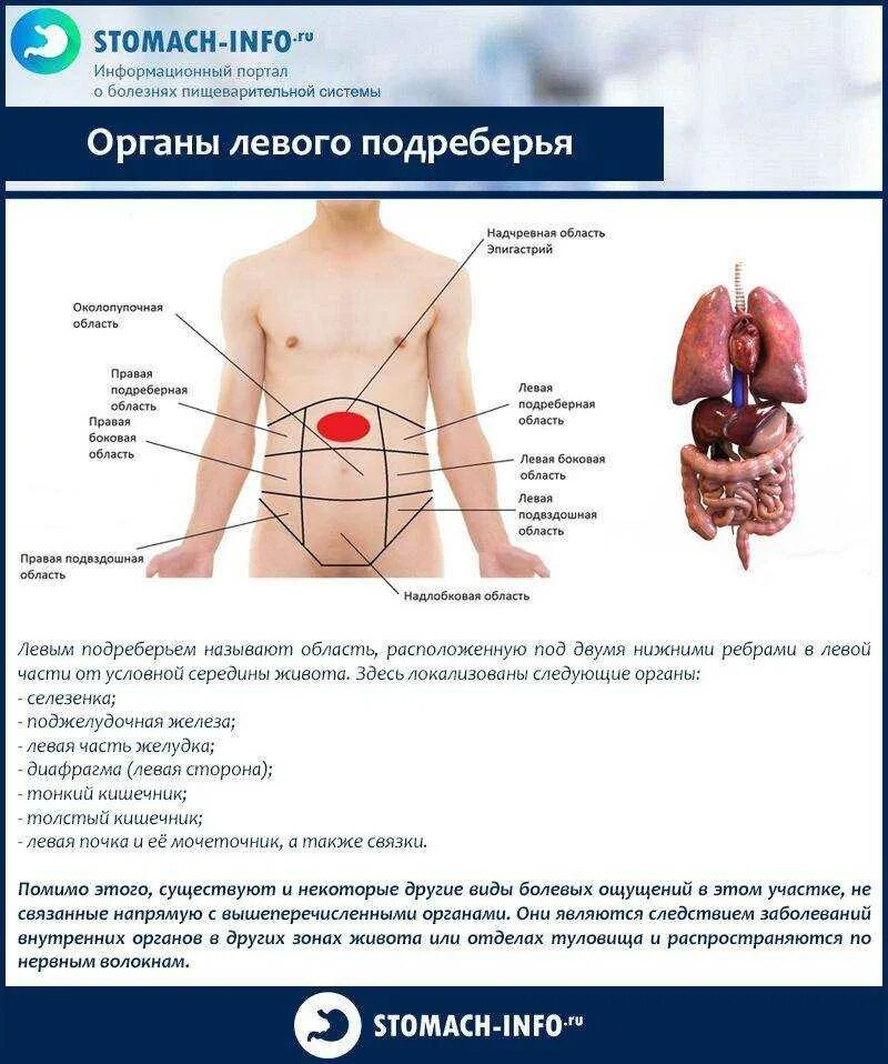 Боль в боку слева в районе. Болит вверху между ребрами спереди по центру. Боль подреберье с левой стороны спереди. Болит между левыми ребрами сбоку. Тяжесть с правой стороны под ребрами спереди.