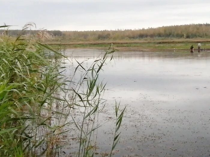 Озеро левки. Левковское озеро. Дзержинское водохранилище беларусь. Любанское водохранилище рыбалка. Левковское озеро.