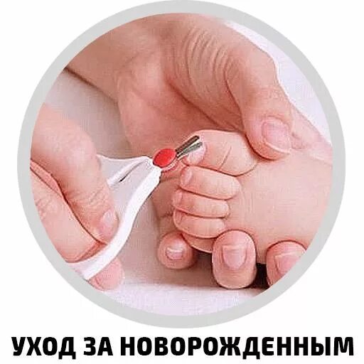 Как подстричь новорожденного. Стрижка ногтей новорожденному. Подстричь ногти новорожденному. Как стричь ногти новорожденному на ногах. Уход за ногтями новорожденного.