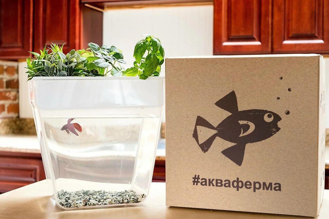 AquaFarm Self-Cleaning Organic Plant Growing Aquaponics Fish Tank / Aquarium Kit