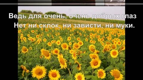 Люба солнце