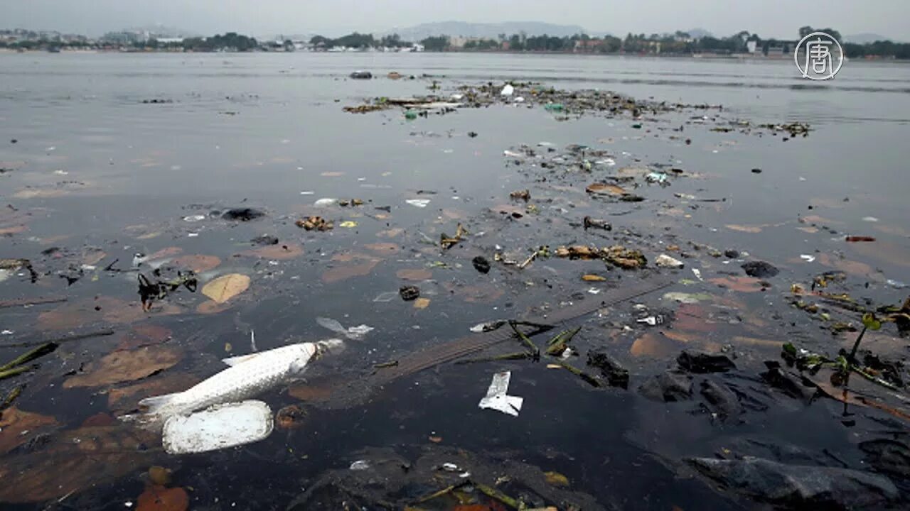 Грязная вода видео. Загрязнение воды. Загрязненные воды. Загрязненные водоемы. Загрязнение пресных вод.