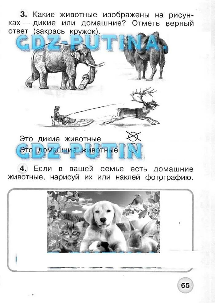 Плешаков 1 класс 1 часть ответы. Окружающий мир 1 класс рабочая тетрадь Плешаков стр 65. Окружающий мир 1 класс 1 часть стр 64-65 ответы. Учебник окружающий мир 1 класс часть 1 страница 65. Окружающий мир 1 класс рабочая тетрадь стр 65.