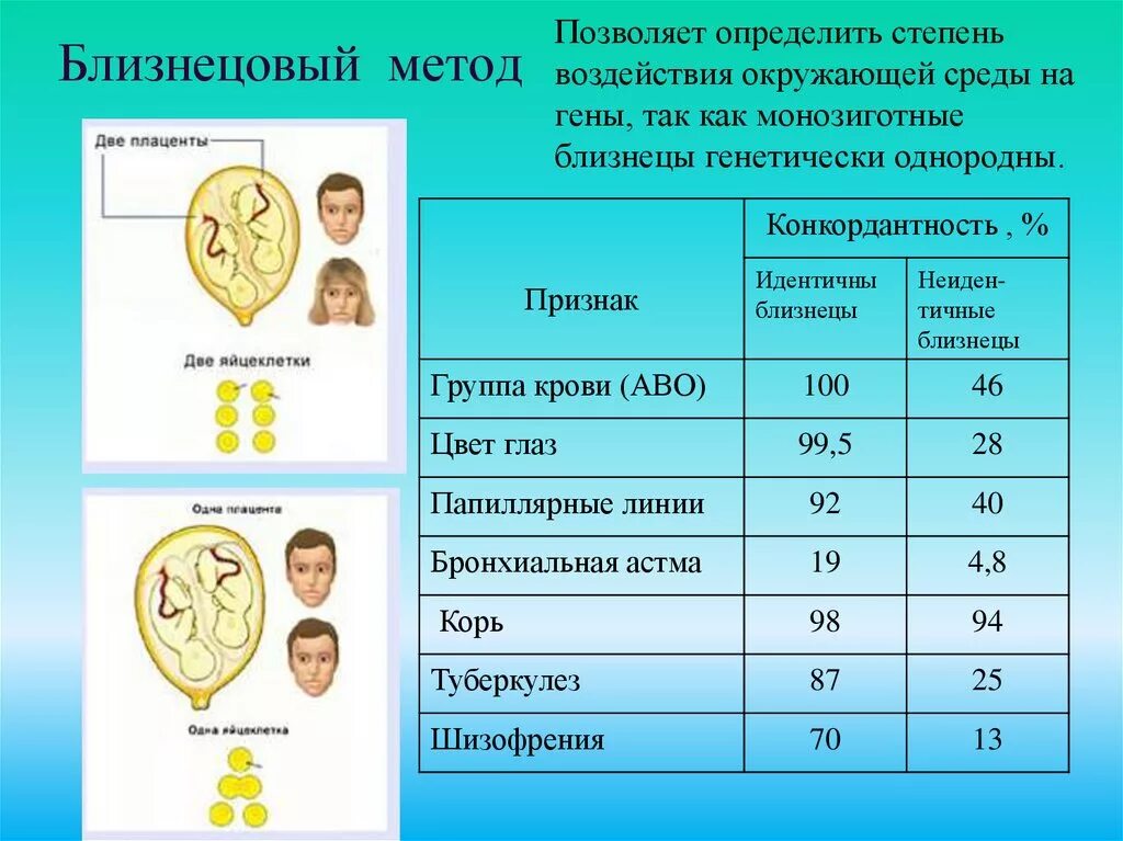 Схема Близнецового метода. Близнецовый метод исследования. Близнецовый метод исследования наследственных заболеваний. Близнецовый метод изучения генетики человека.