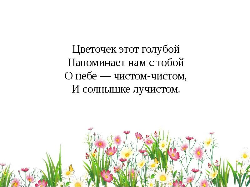 Сердечко золотое что это такое загадка. Я шарик пушистый белею в поле чистом а дунул ветерок остался стебелек. Стоит в саду кудряшка белая рубашка. Цветочек этот голубой напоминает. Стоит в саду кудряшка белая рубашка сердечко золотое что это такое.