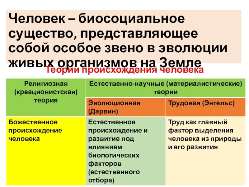 Что означает биосоциальное существо. Человек как биосоциальное существо. Человек биосоциальное существо схема. Человек биосоциальное существо кратко. Человек как биосоциальное существо теория.