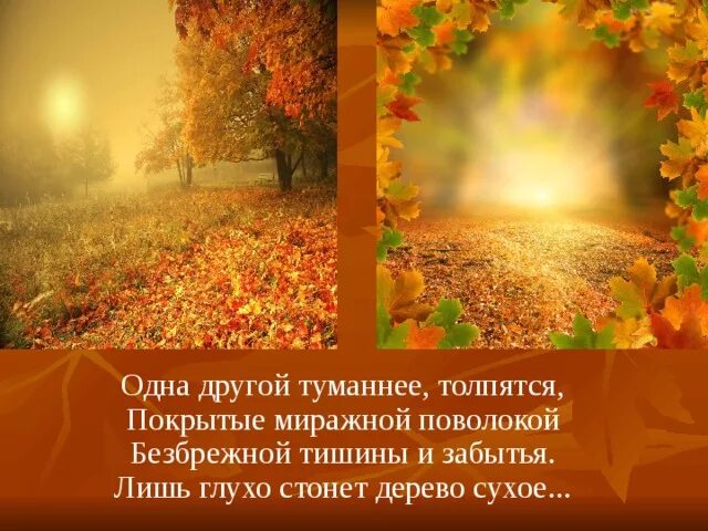 Стих н. Рубцова листья осенние. Листья осени рубцов. Н. рубцов осень. Стихотворение н рубцова сентябрь