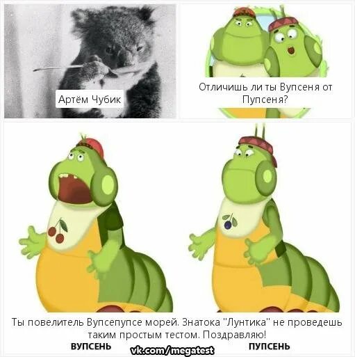 Как отличить вупсеня от пупсеня