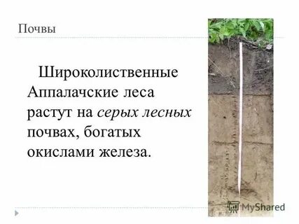 Какие почвы сильнее