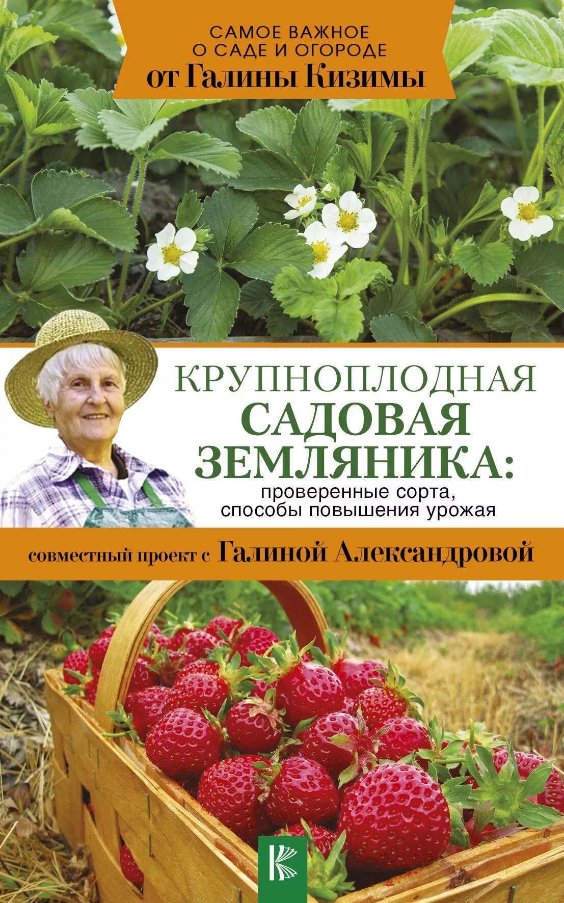 Земляника книга. Клубника и книги.