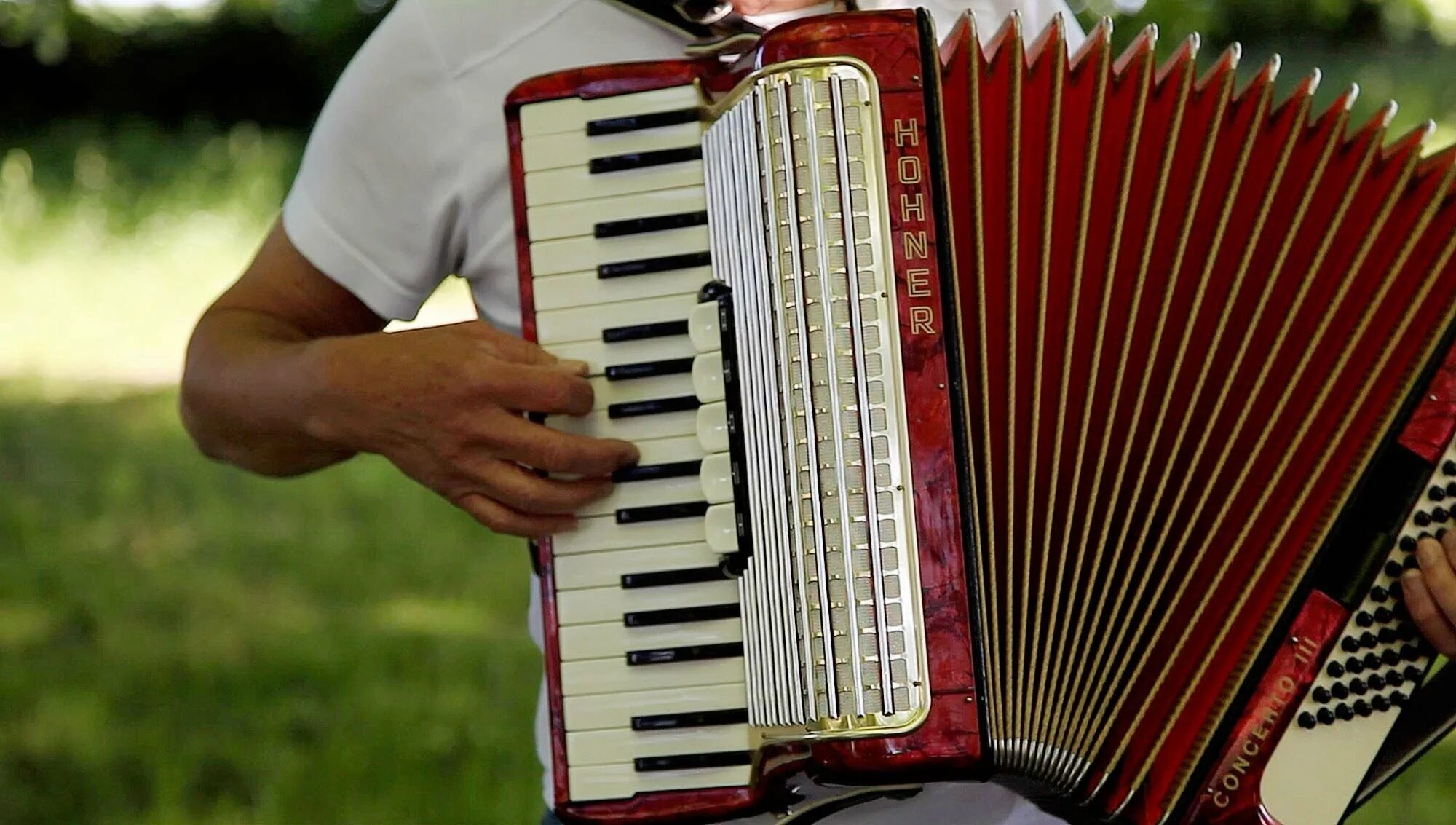 Пётр дранга аккордеон. Французская гармонь. Аккордеон франция. Аккордеон 2/4. Концертина гармонь.