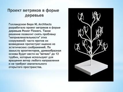 Значение формы дерева