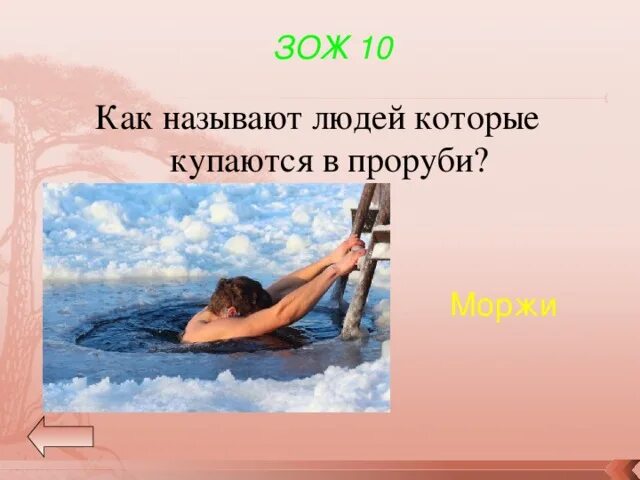 Купаться существительное