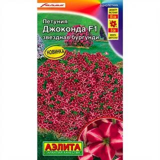 Петуния джоконда бургунди