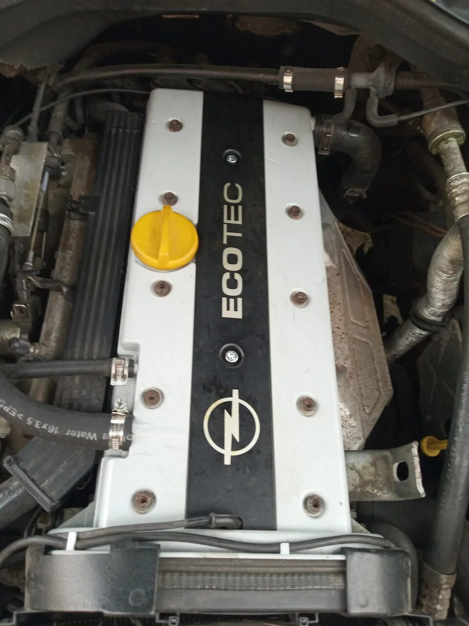Опель омега б 2. Opel vectra b 2. 0 16v. Опель омега б 2. 0 16v.