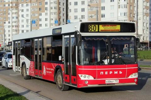 Автобус 485