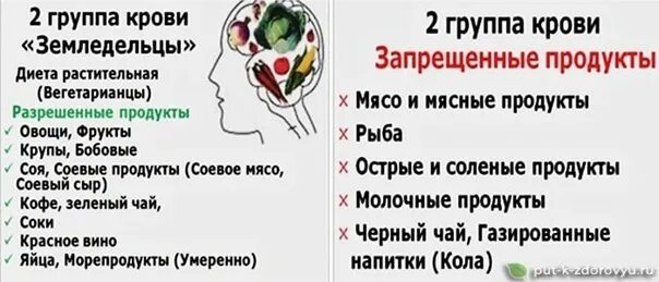 Питание по группе крови 2. Питание по группе крови для похудения. Диета по группе крови 2 положительная. Питание по группе крови для женщин для похудения. Продукты для 2 положительной группы