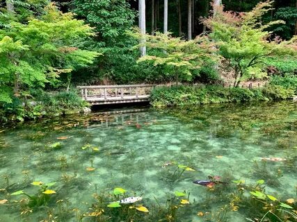 Seki japan