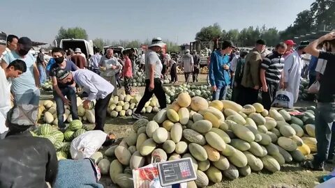 Пагода шахритус таджикистана