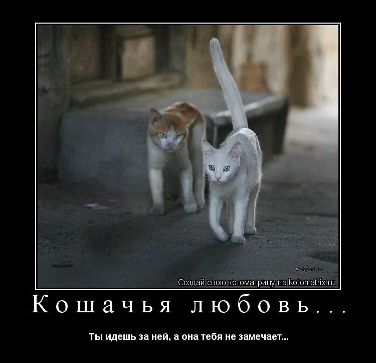 Это она а не ты. Ты изменилась стихи. Если какая нибудь овца нагадила вам в душу простите. Не понял и не пытайся. Милые цитаты для парня.