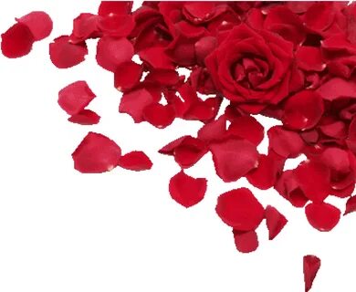 Rose effect