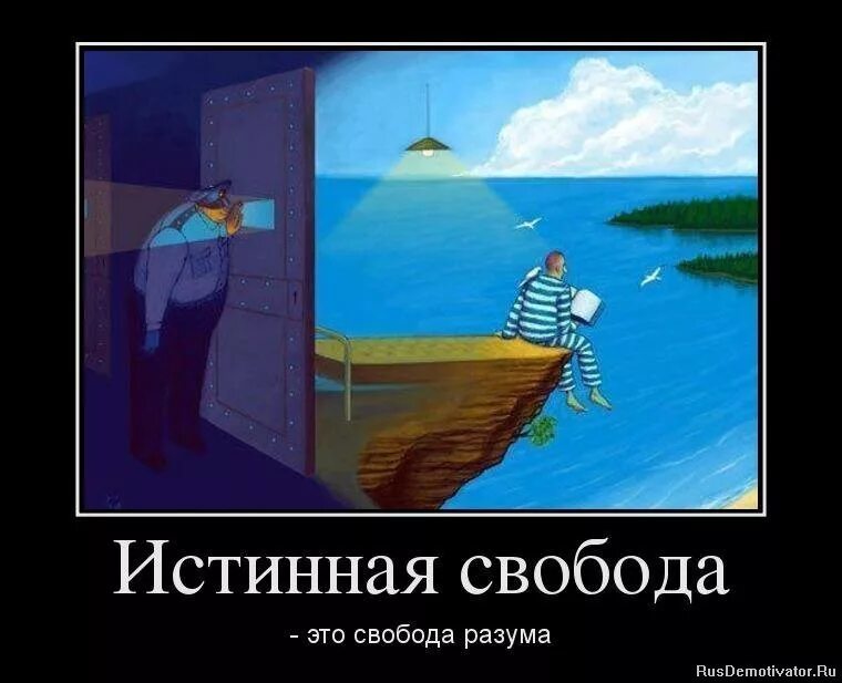 Относительно свободен. Шутки про свободу. Прикольные картинки сво. Истинная Свобода. Свобода демотиваторы.