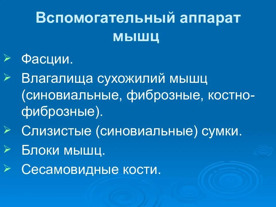 К вспомогательному аппарату мышц относятся ответ. Вспомогательный аппаратмыщц. вспомогательыйаппарат мышц. вспомогательный аппарат мышц таблица. роль вспомогательного аппарата мышц.
