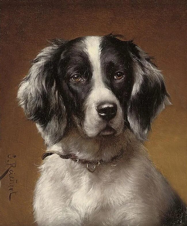 Художественные про собак. Художественные про собак. Художник briton riviere (1840 – 1920). Художник брайтон ривьер (briton riviere). Лохматые истории рассказы о собаках.