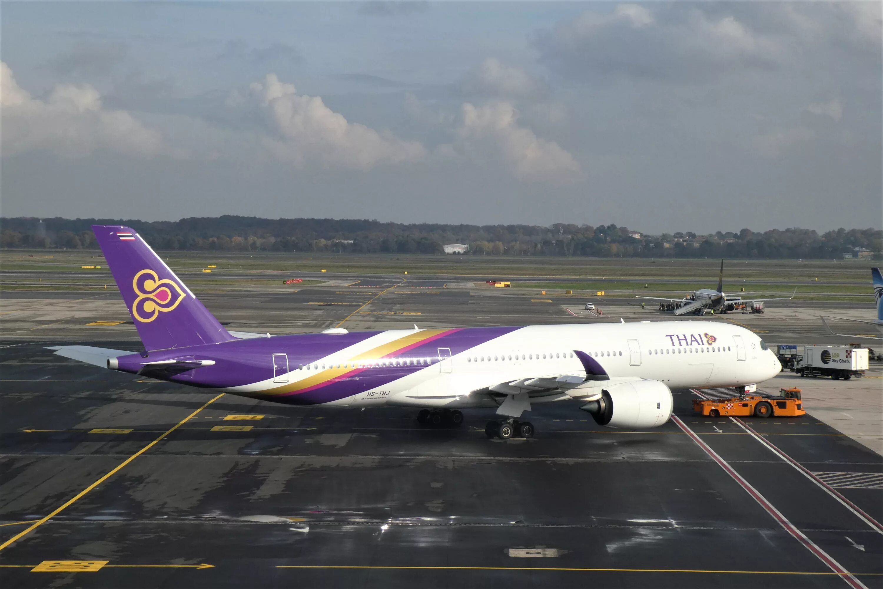 Su 273 бангкок. Thai Airways рейсы. Самолет Москва Бангкок. Самолеты из бангкокских авиалиний. Бангкок с самолета.