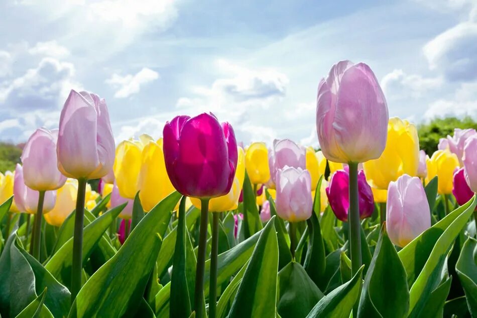 Spring start