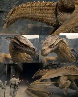 Syrax 🔥 💥 🐲 - the seat is such a good idea Game of thrones dragons, Drogon game 