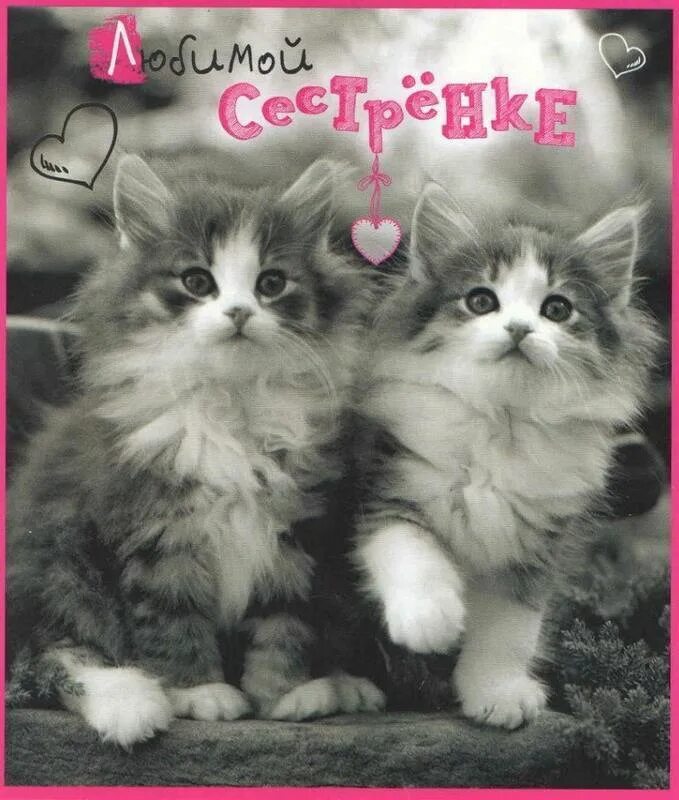 Сестре открытки с днём рождения стильно. С днём рождения сестрёнка. Открытки с днем рождения любимой сестричке. Красивое поздравление сестре. Открытки с днём рождения тюльпаны.