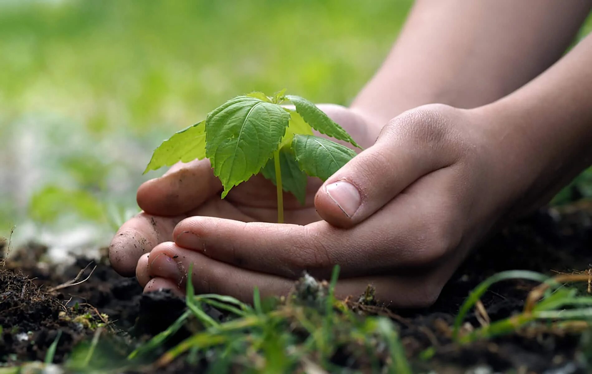 Healthy environment