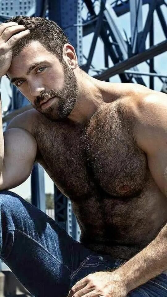Волосатый красавец. Красивые волосатые мужчины. Красивые волосатые мужчины. Парень волосатый красавчик. Хайри алиев торс.