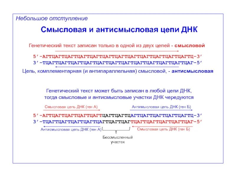 Смысловая цепь днк это. Смысловая и антисмысловая ДНК. Смысловая и антисмысловая цепь ДНК. Смысловая и транскрибируемая цепь ДНК. Смысловая цепочка ДНК.