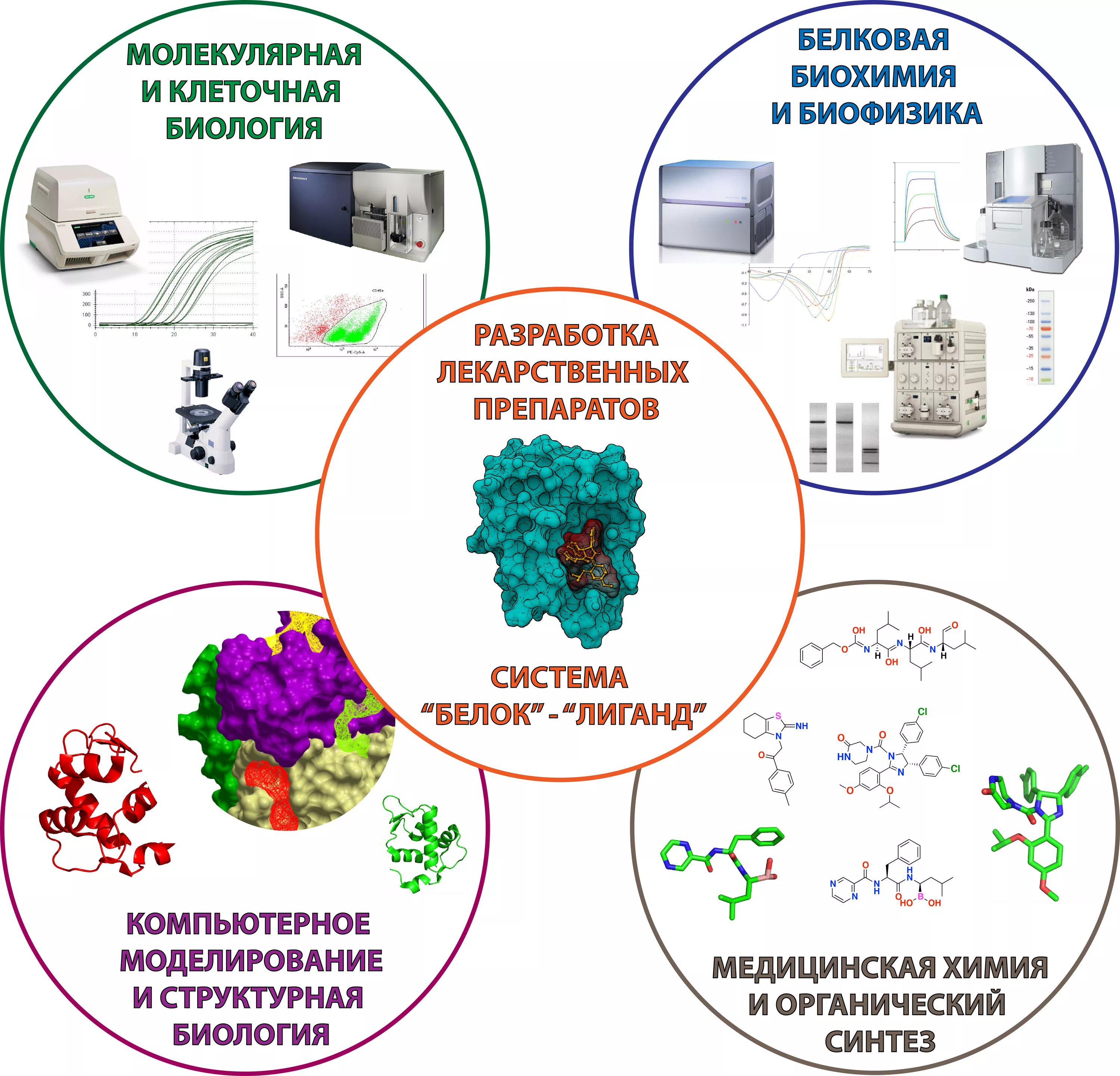 Препараты биотехнология. Компьютерное моделирование лекарственных средств. Разработка лекарственных средств. Моделирование лекарст. Биотехнология лекарственных препаратов.