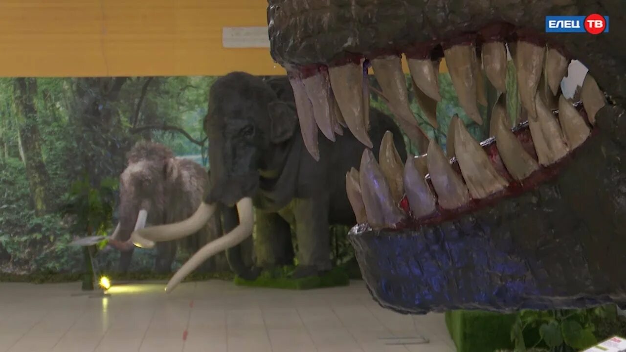 Музей шадринск гиганты ледникового периода. Эра древних гигантов выставка. Выставка гиганты ледникового периода оренбург. Древний броненосец глиптодонт. Глиптодон вымершие.