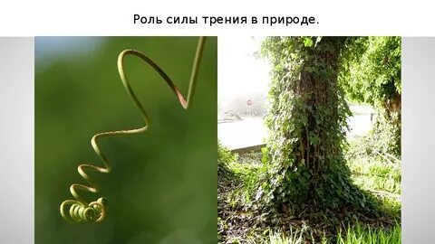 Сила в природе и технике