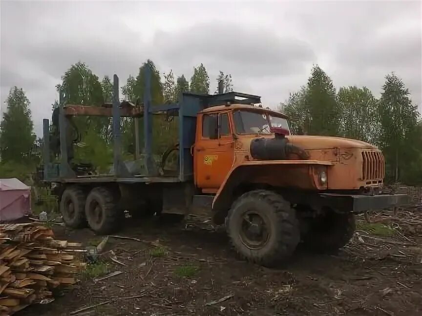 Урал лесовоз габариты. Урал фискарс лесовоз. Авито пермский край лесовозы. Урал лесовоз бескаполник. Урал фискарс лесовоз новый.