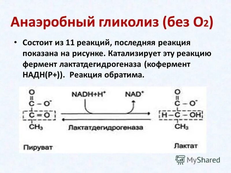 Гликолиз последовательность реакций. Схема анаэробного гликолиза биохимия. Ферменты анаэробного распада Глюкозы. Анаэробный гликолиз схема процесса.