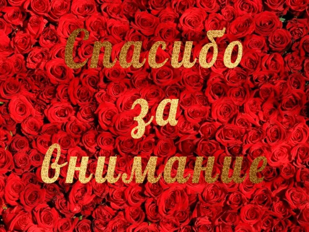 Спасибо за внимание. Благодарить за оказанное внимание. Открытки с благодарностью. Открытка с благодарностью за внимание. Слайд спасибо за внимание.
