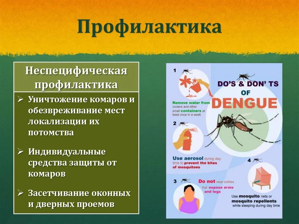 Профилактика комаров