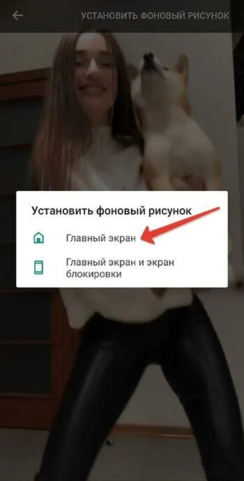 Как установить живые обои с тик тока. Как установить живые обои из тиктока. Как поставить на обои видео из тик тока. Сохранить ролик из тик ток.