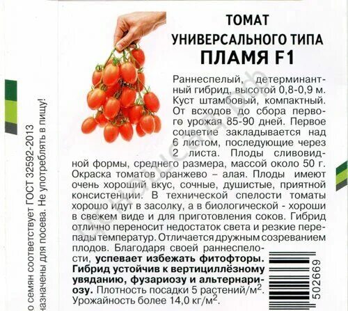 Томаты малиновое пламя описание фото отзывы. Томат пламя f1. томат пламенный f1. томат пламя отзывы. томат пламя партнер.